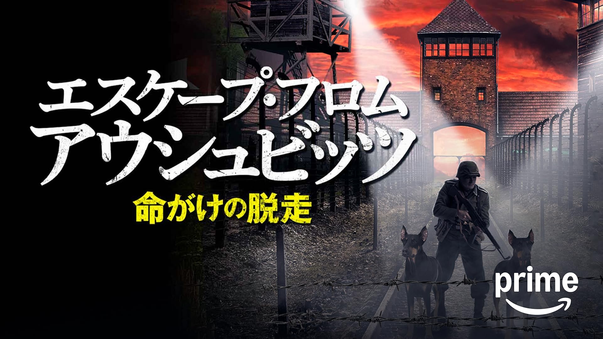 Amazon.co.jp: 名もなきアフリカの地で(字幕版)を観る | Prime Video